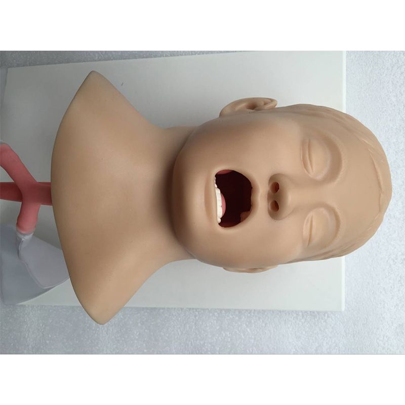 SC-J4A Advanced Child Trachea Intubation Model