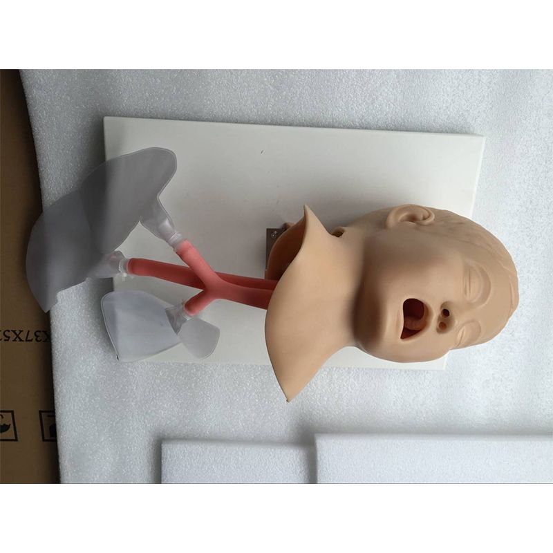 SC-J4A Advanced Child Trachea Intubation Model