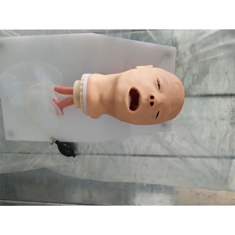 SC-J50 Trachea Intubation Training Model 1