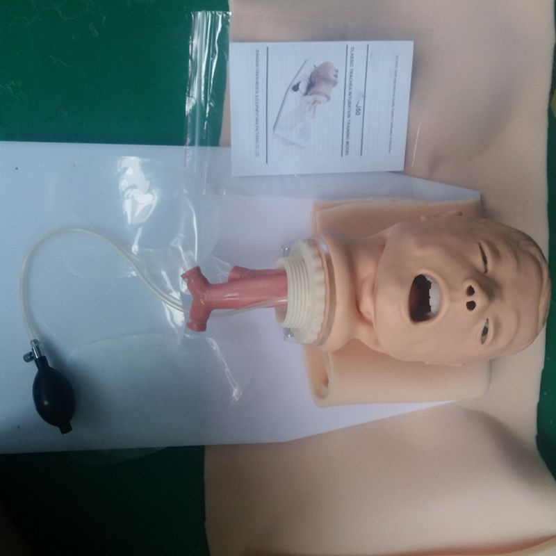 SC-J50 Trachea Intubation Training Model 4