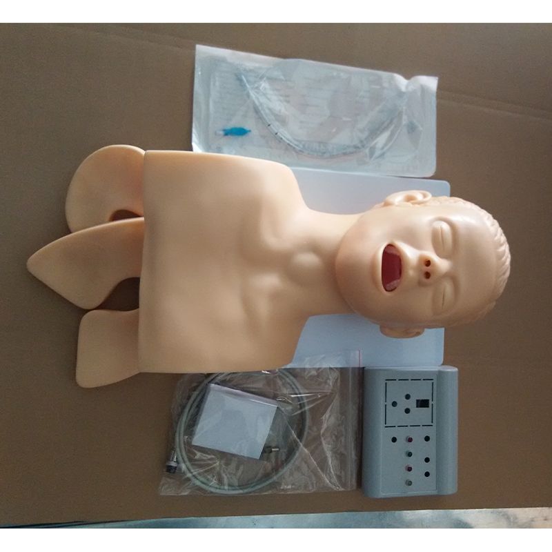 Electronic Airway Intubation Model (with Teeth Compression Alarm Device) 3