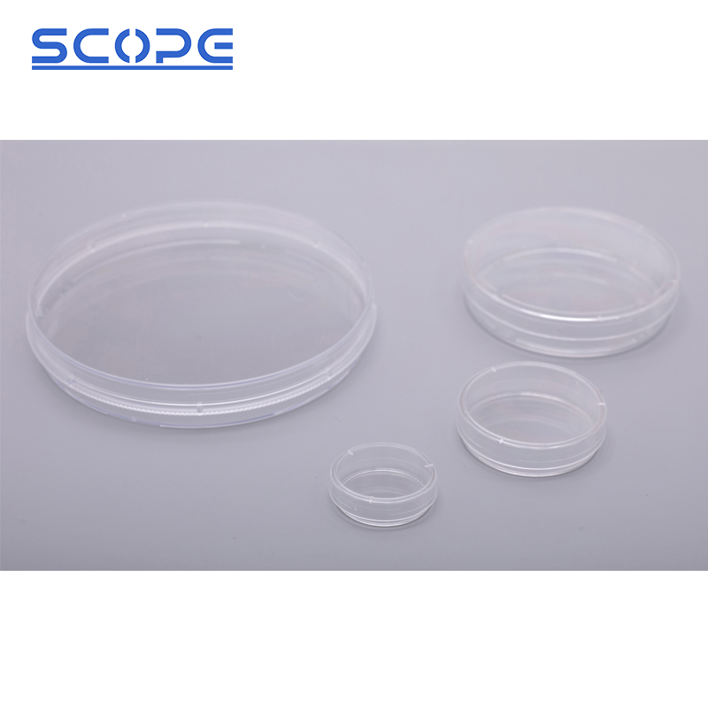 How Do I Choose the Right Size of Cell Culture Dish - Scopelab