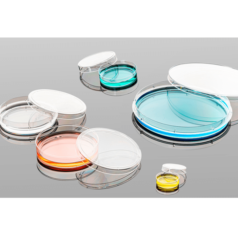 What Are Cell Culture Dishes Treated With?