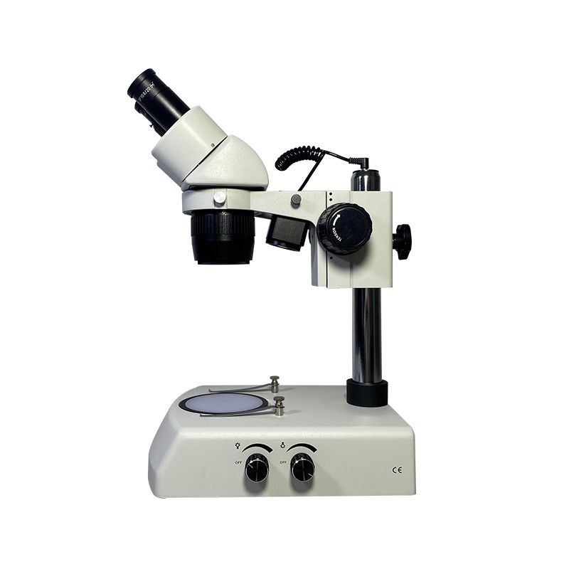 XT24 Series Stereo Microscope 6