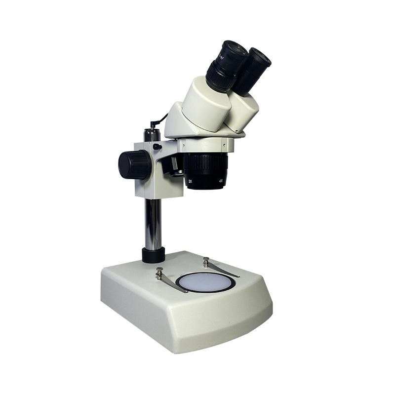 XT24 Series Stereo Microscope 3