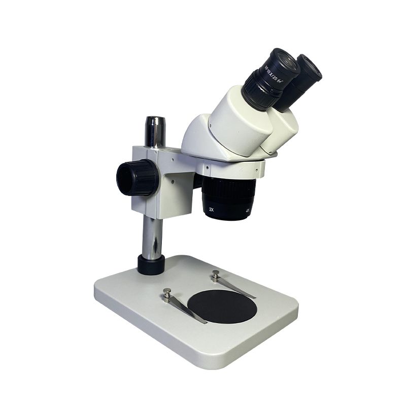 XT24 Series Stereo Microscope 4