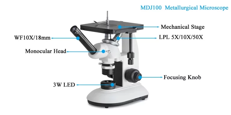 Anatomy of a Metallurgical Microscope: Key Parts and Their Functions