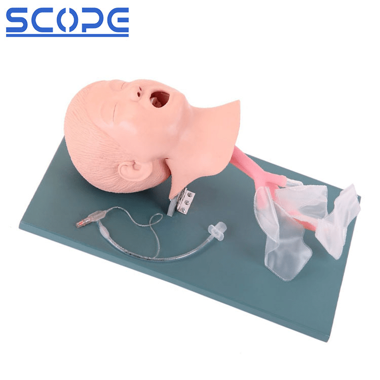 SC-J4A Advanced Child Trachea Intubation Model - Scopelab