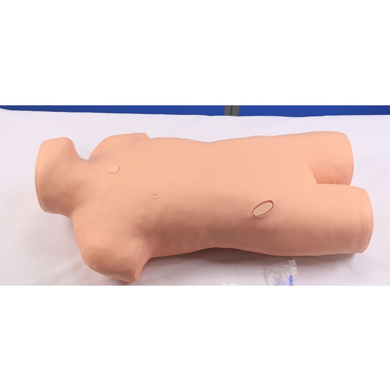 SC-CK816 Medulla Ossium Puncture Standardized Patient Manikin 2