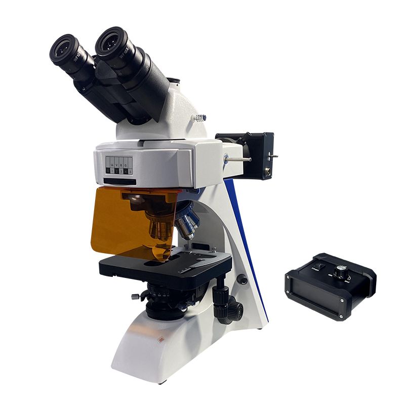 BK6000 Fluorescence Microscope
