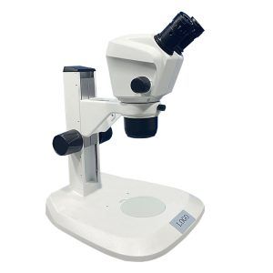 SZ650BP Microscope