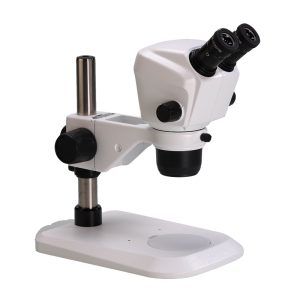 SZ650BP 圆 Microscope