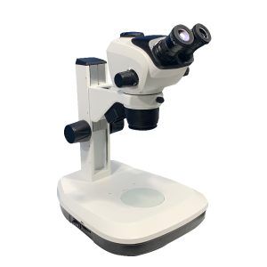 SZ680 810 B2L Microscope