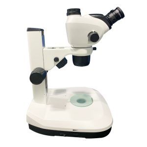 SZ680 810 T2L Microscope