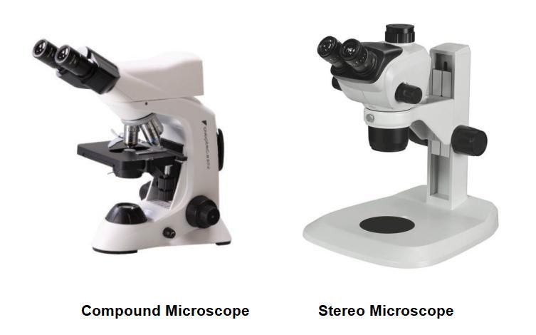 Scopelab compound and stereo microscope