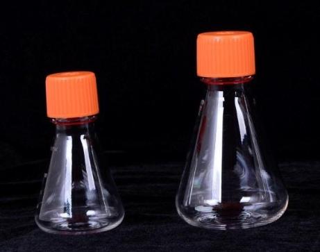 Laboratory Erlenmeyer Flasks with Screw Cap(1)