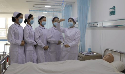 A Method of Nursing Simulation: Simulated Ward Practice