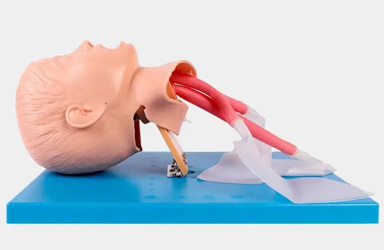 Children's endotracheal intubation simulator