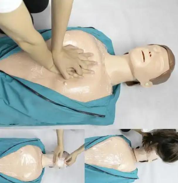 Adult CPR manikin