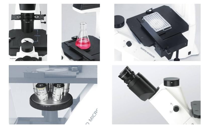 BDS400 Inverted Biological Microscope display