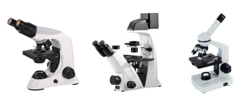 Scopelab Biological Microscopes